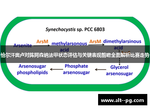 恰尔汗奥卢对阵阿森纳法甲状态评估与关键表现前瞻全面解析比赛走势